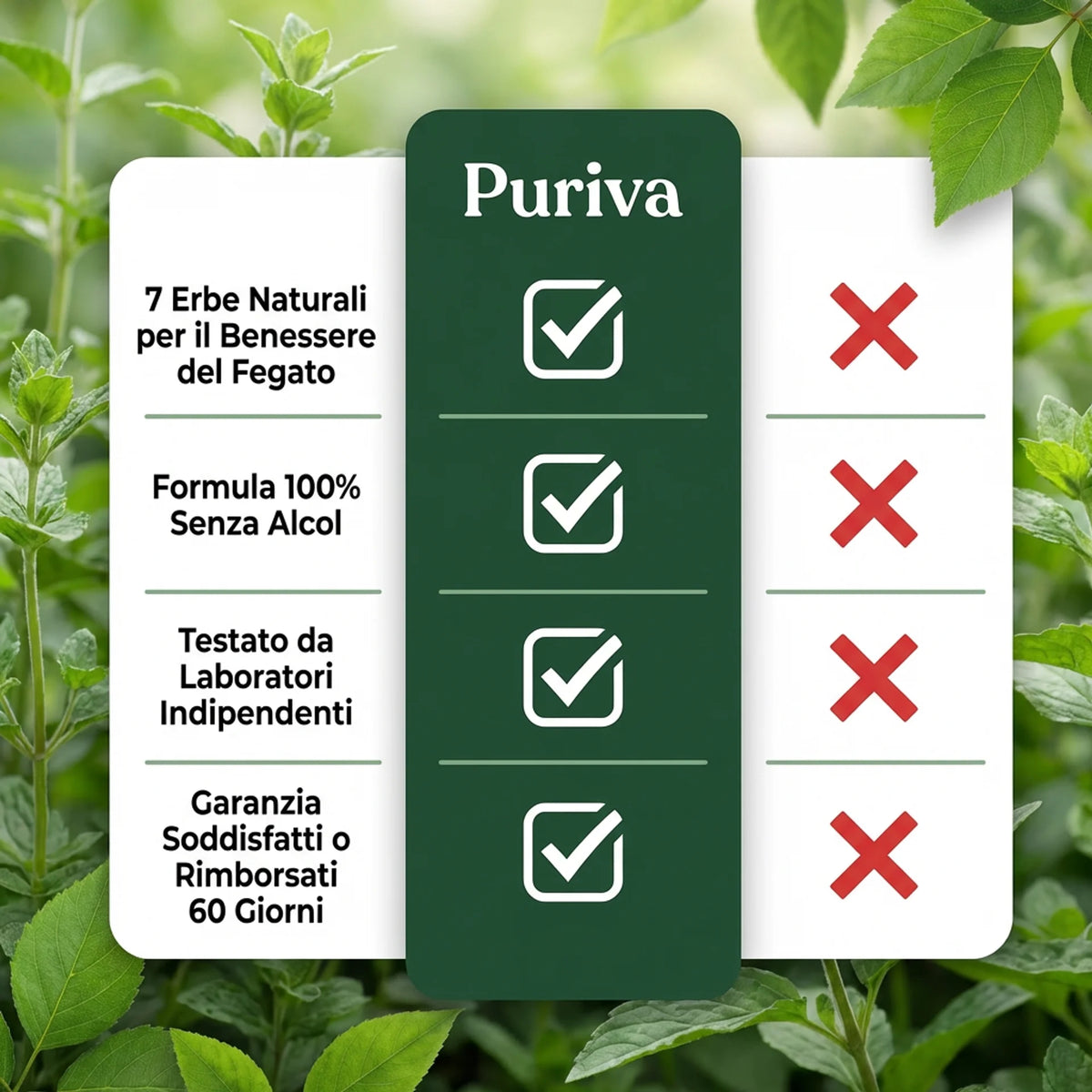 Puriva™ — 21 Giorni per Ritrovare l’Equilibrio Intestinale